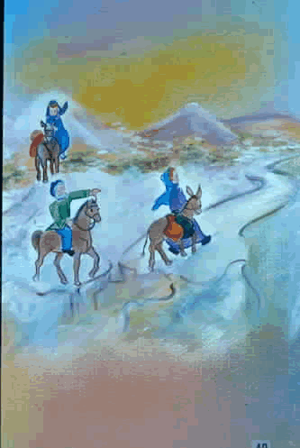 Donkey ride 